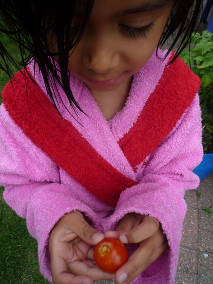 30 July tomato 5.jpg
